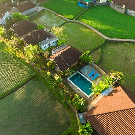Ubud Glassy Villa By Pramana Villas Exteriör bild
