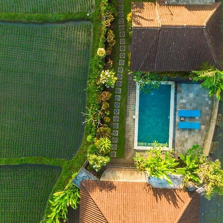 Ubud Glassy Villa By Pramana Villas Exteriör bild