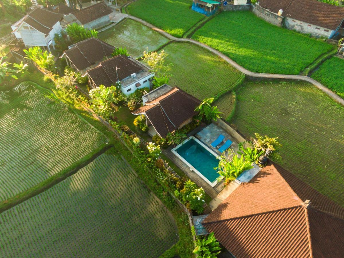 Ubud Glassy Villa By Pramana Villas Exteriör bild
