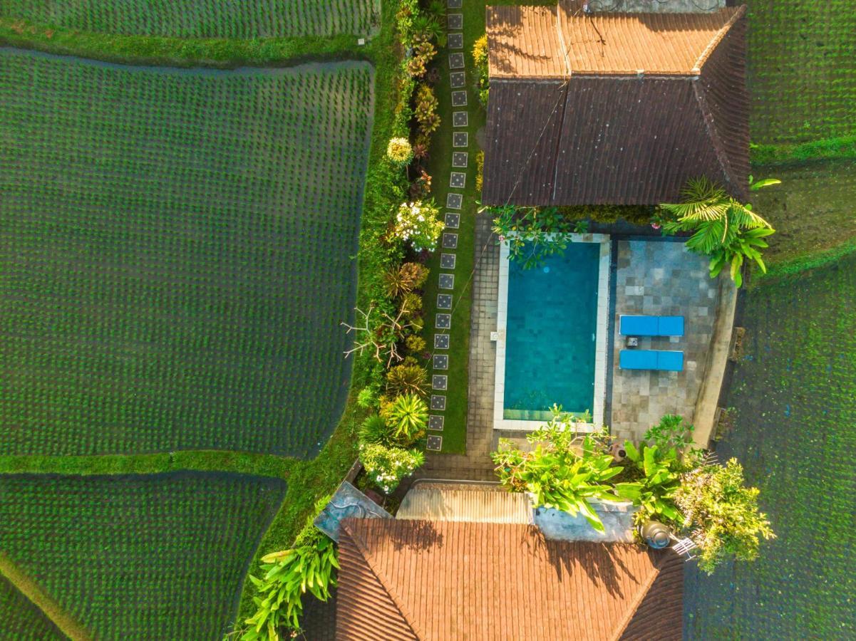 Ubud Glassy Villa By Pramana Villas Exteriör bild